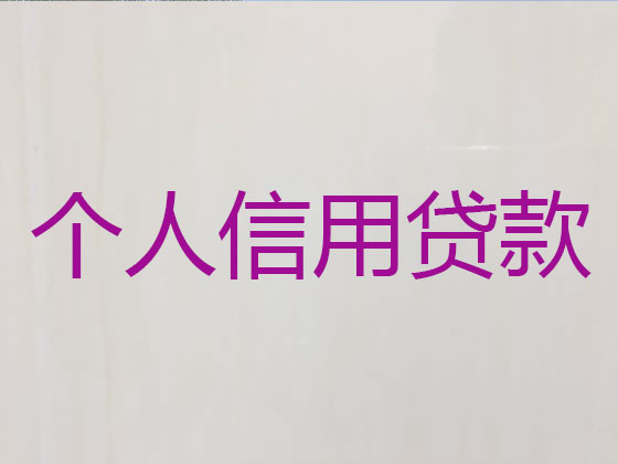 仁怀市抵押贷款公司-银行信用贷款